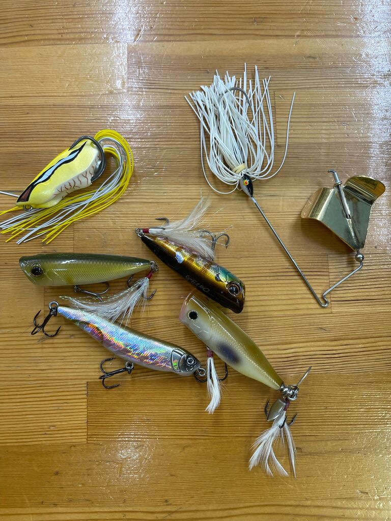 明日から八郎潟、野池ともに活性化する予想です。 : Lure Shop O'z Blog