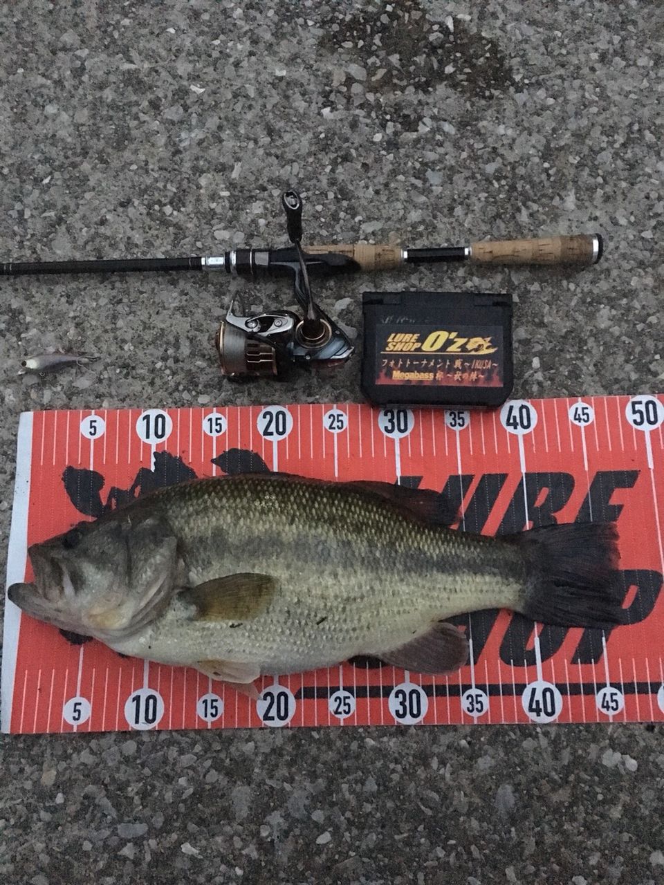 結果発表 18フォトトーナメント戦 Ikusa メガバス杯 秋の陣 Lure Shop O Z Blog 結果発表 18フォトトーナメント戦 Ikusa メガバス杯 秋の陣 Lure Shop O Z Blog
