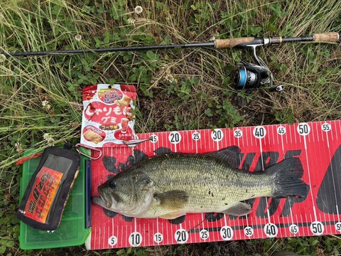 20250623  49cmNO1EN5