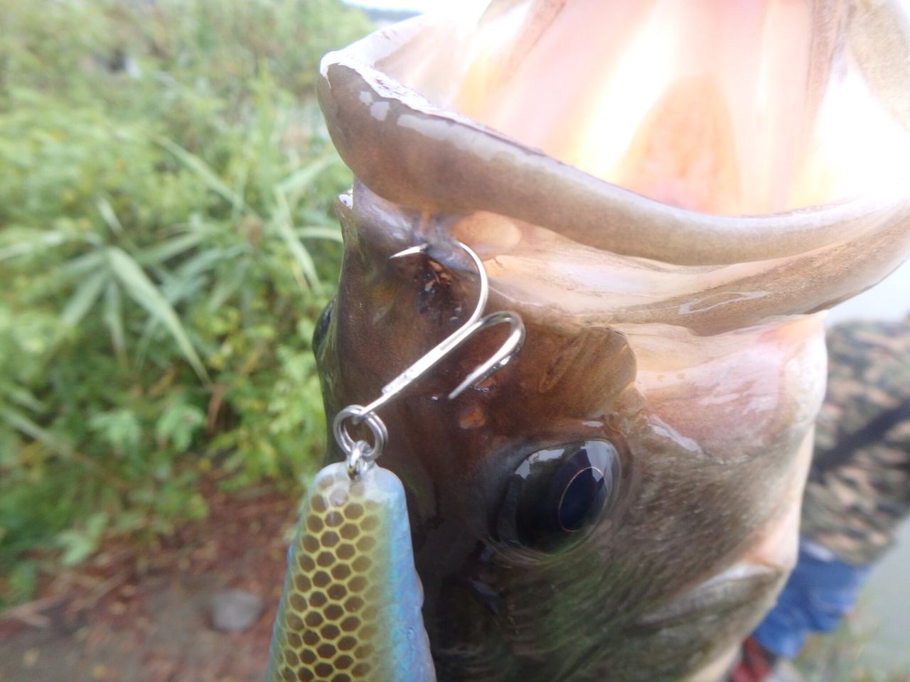 生憎の天候ではありますが 八郎潟 野池ブラックバス釣果情報 Lure Shop O Z Blog