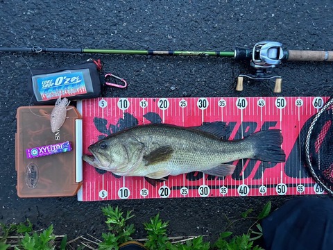 20231010 51cmNO1EN12