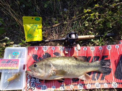 20250710 50cm NO2EN6