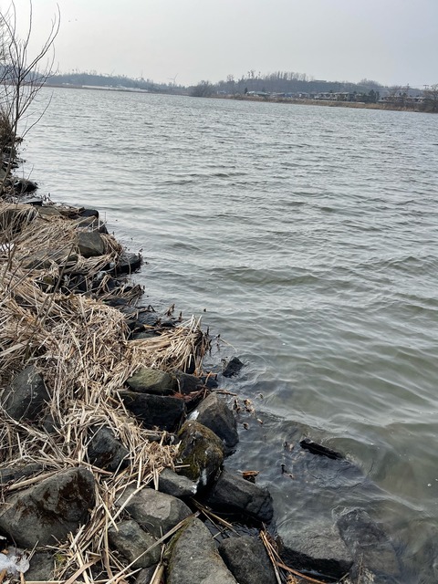 image10