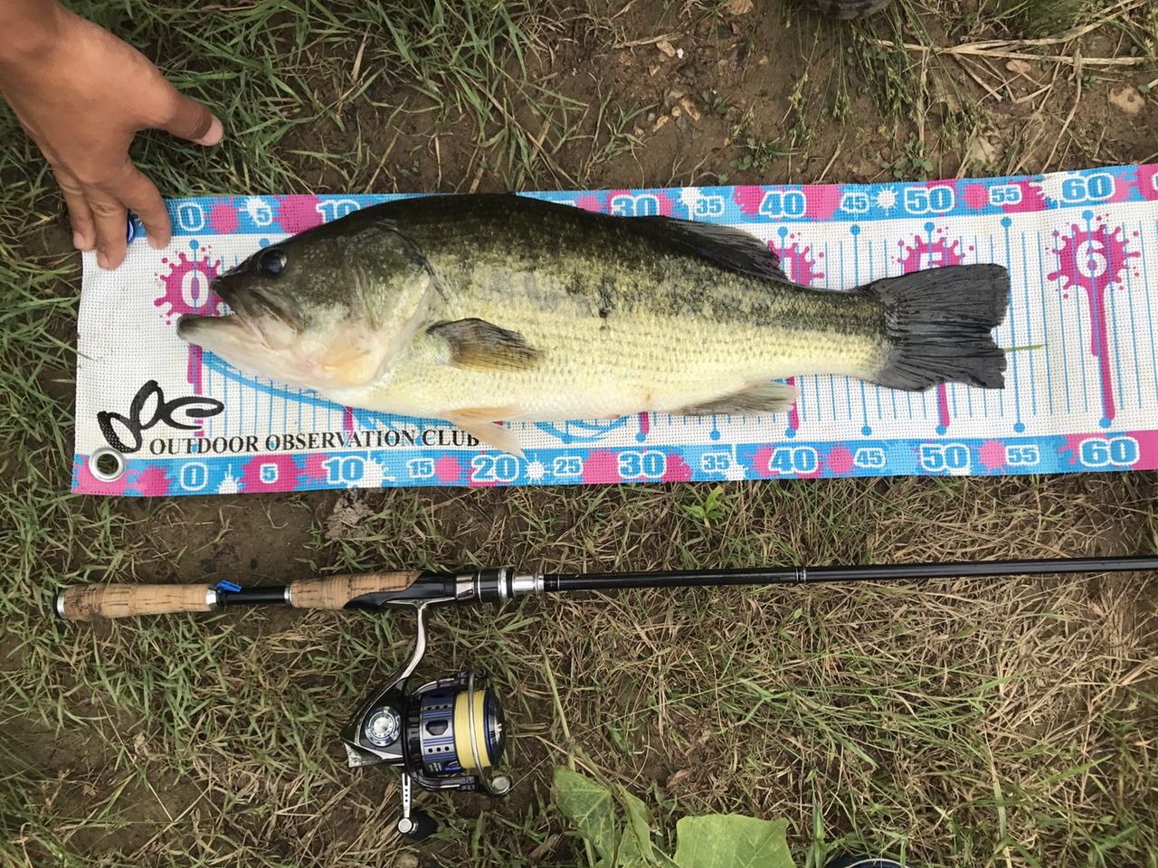 またまたビッグバス出現 八郎潟ブラックバス釣果情報 Lure Shop O Z Blog またまたビッグバス出現 八郎潟ブラックバス釣果情報 Lure Shop O Z Blog