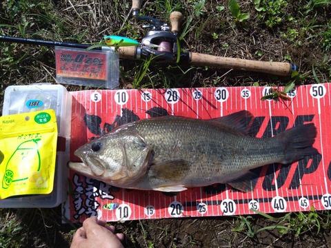 20250710  49cm NO1EN6