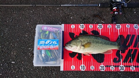 20231023 33CMNO2EN16