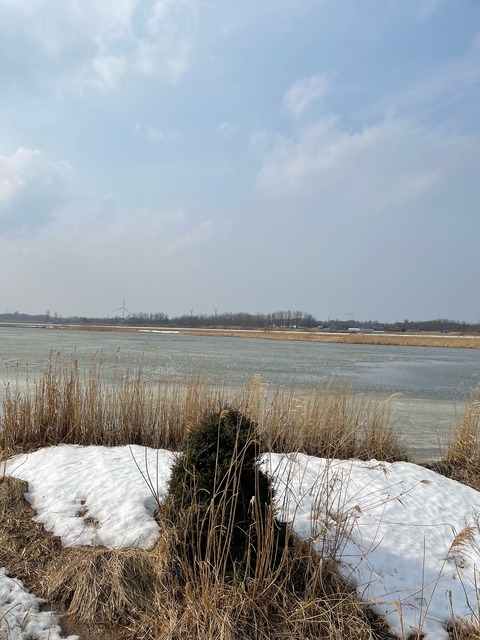 image6