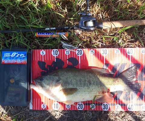 20231014 42cmno1en25