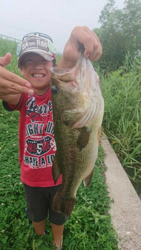 IMG_20190728_091612_780