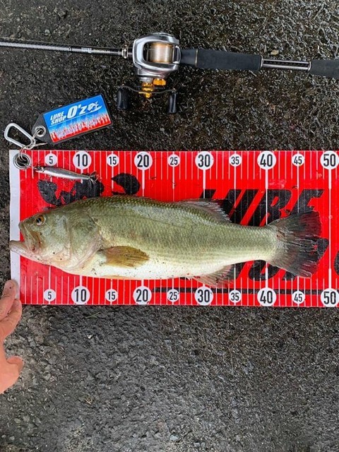 20190729八郎潟48ｃｍＮＯ4ＥＮ2