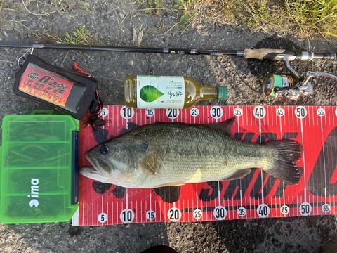 20240606 49cm NO3EN4