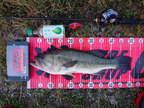 20240627  50cm NO2EN27