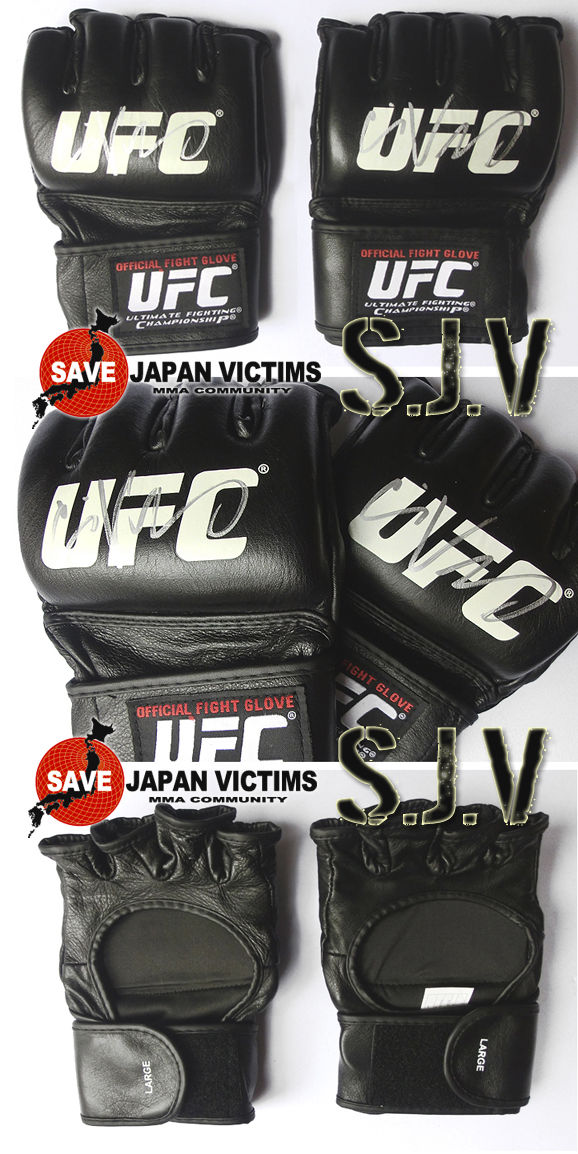 LUTADOR FIGHT INFORMATION