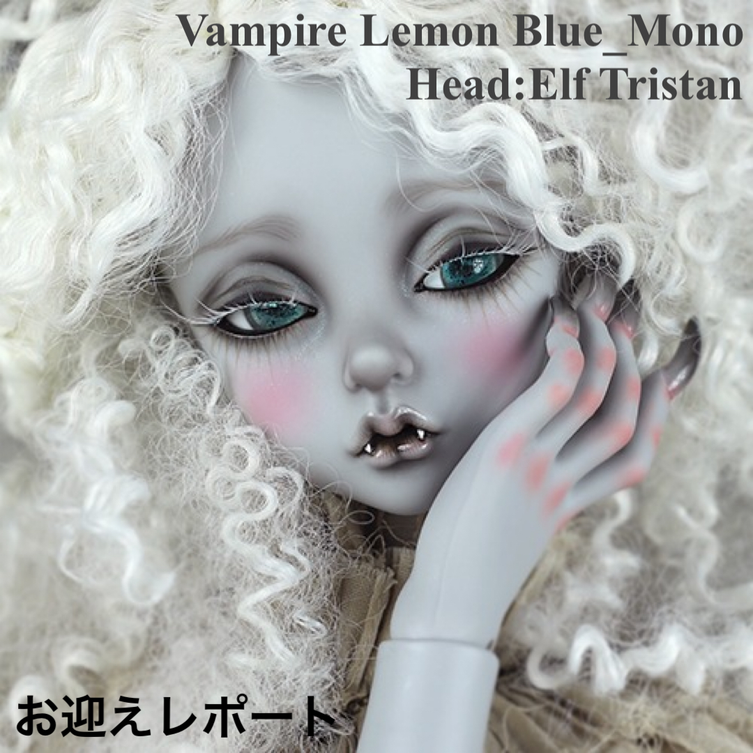 Peak's woods Vampire Lemon Blue_Mono(Elf Tristan)お迎えしました