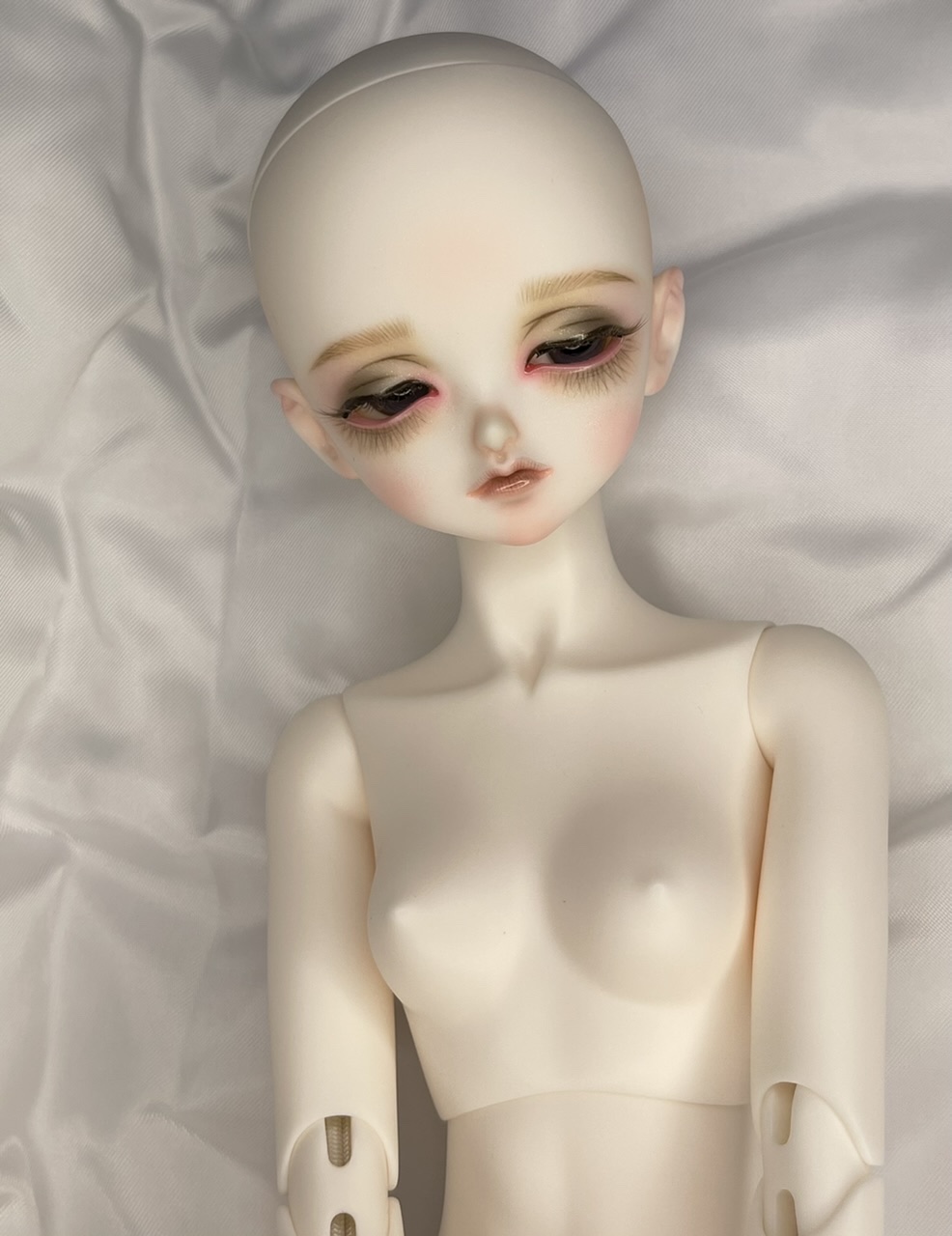 FOB Mori Moth｜DOLK（ドルク）