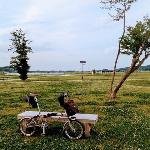 PXL_20250515_075752197~2