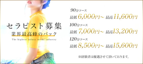 1000_450_業界最高峰のお給料01