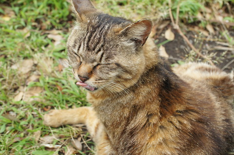 DSC00662