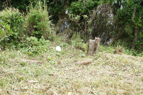 DSC00670