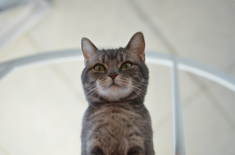 DSC_3136