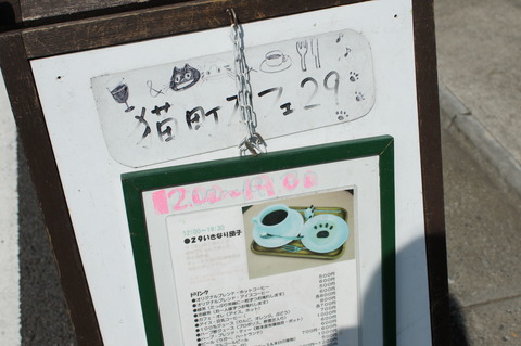 DSC08003