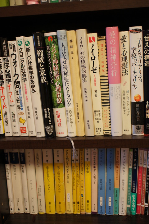 DSC09075