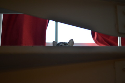 DSC_3127