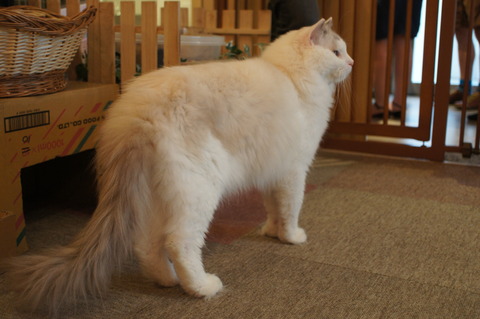 DSC02590