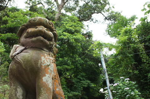 DSC00566
