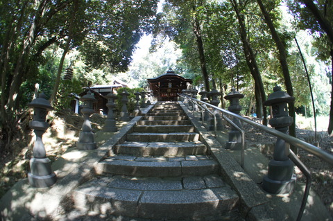DSC08749