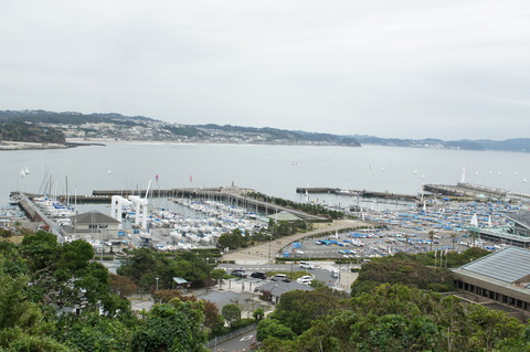 DSC00629
