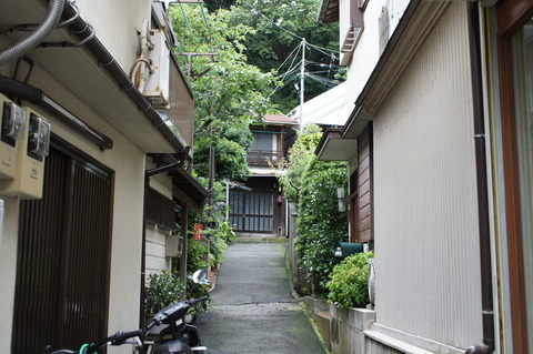 DSC00535