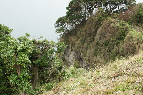 DSC00671