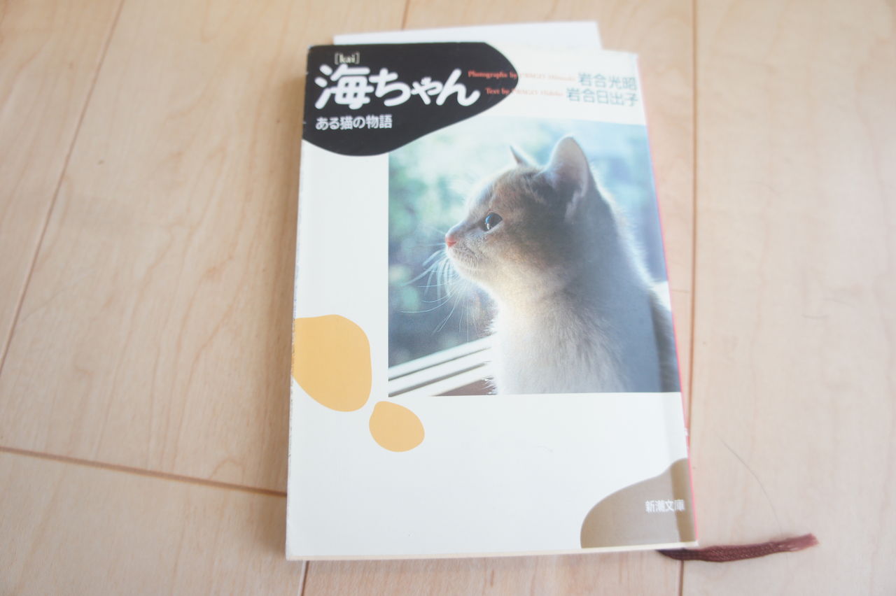 岩合光昭さんの猫写真展行ってきたどー サインもろた ツンギレ猫の日常 Number40 旧