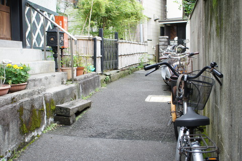 DSC00541
