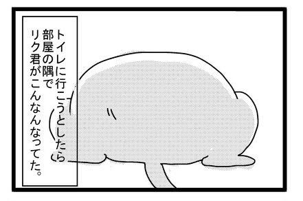 猫漫画 でぶ猫はティッシュの箱には入れない ツンギレ猫の日常 Number40 旧