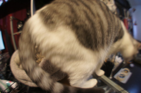 DSC01585