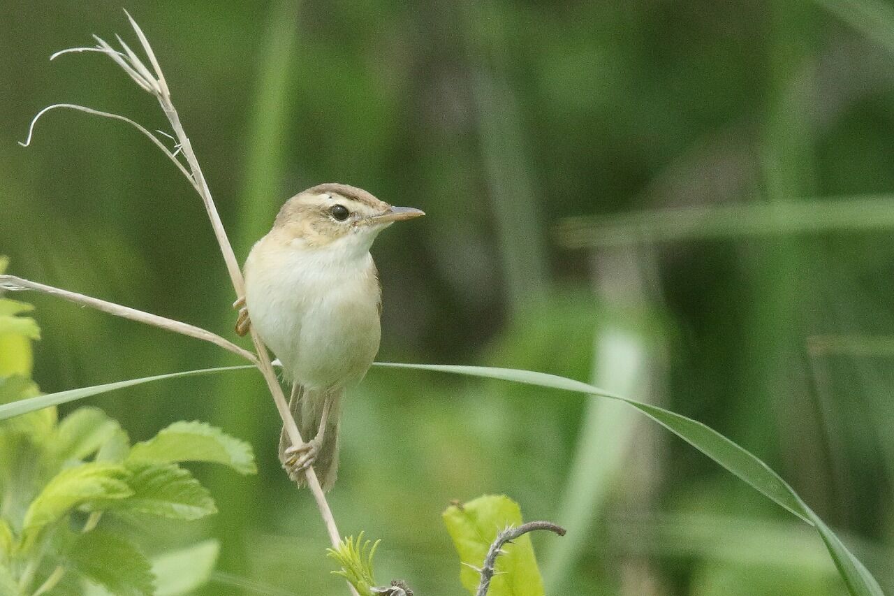 年06月 レッツのblog