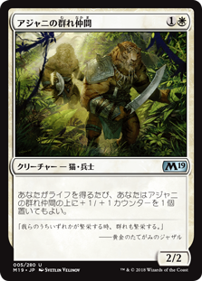 cardimage-5