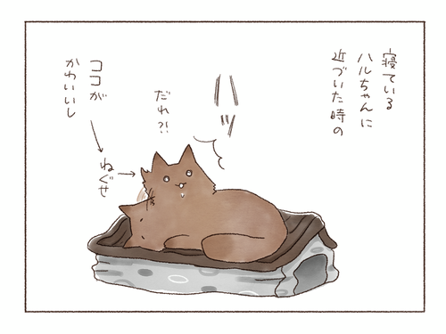 Sketches 169