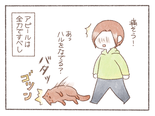 EF37DE12-8427-4978-A7D7-4357A9983C7A