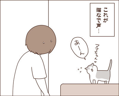 20150816-3
