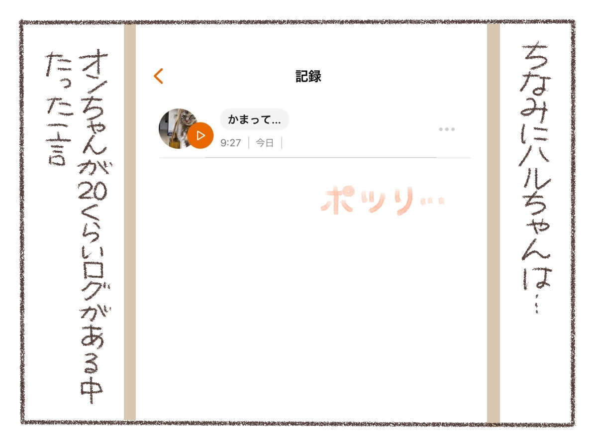 ソロモン王の指輪があったなら ポトフ