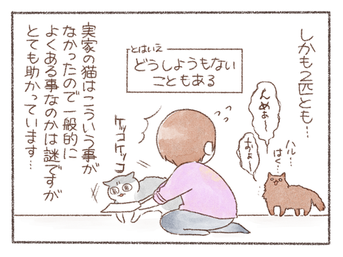 43AE4ED1-0172-4DDA-AAF9-CFF7A0AC4D52