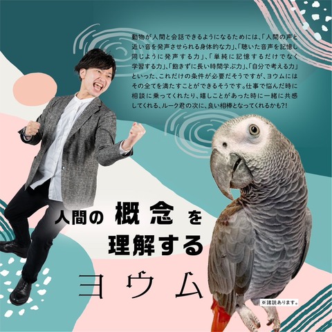line_oa_chat_221228_142043