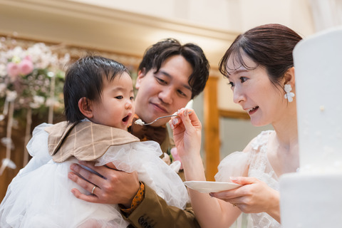 blog247