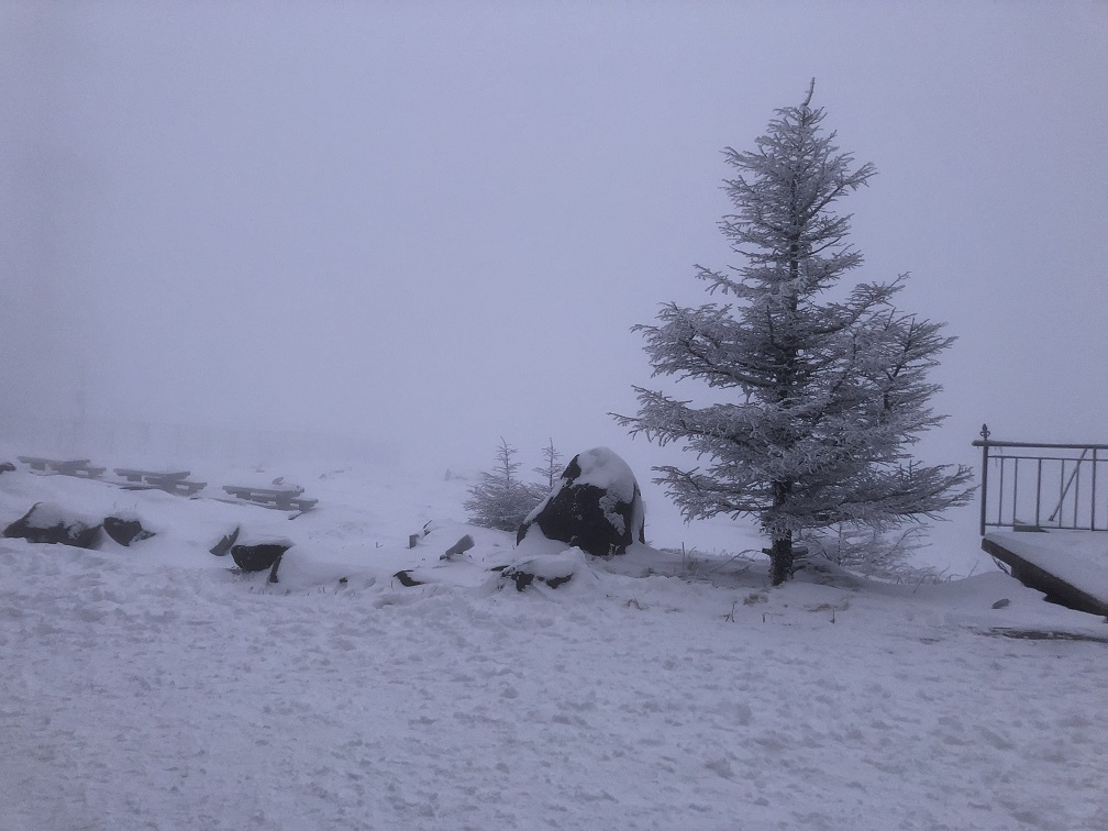雪の美ヶ原高原 2日目 旅のあしあと