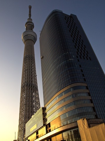 �ǥ��ĥ꡼��