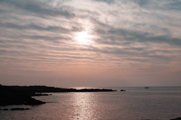 SDQ_3830_R