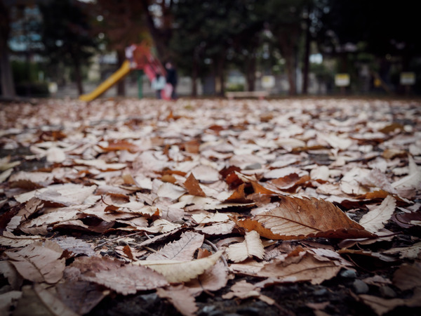1M210549_rc
